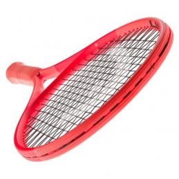 HEAD RADICAL TEAM '25