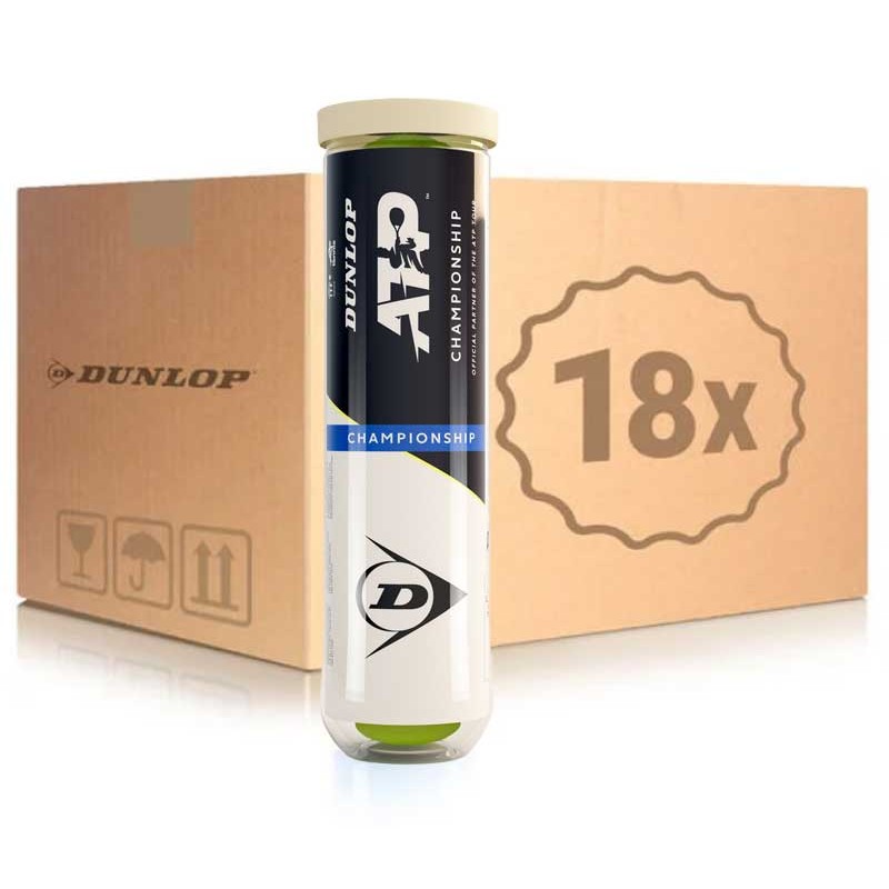 Dunlop Fort TP All Court
