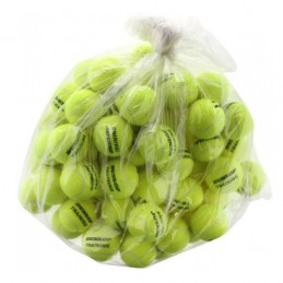 Dunlop Fort TP All Court