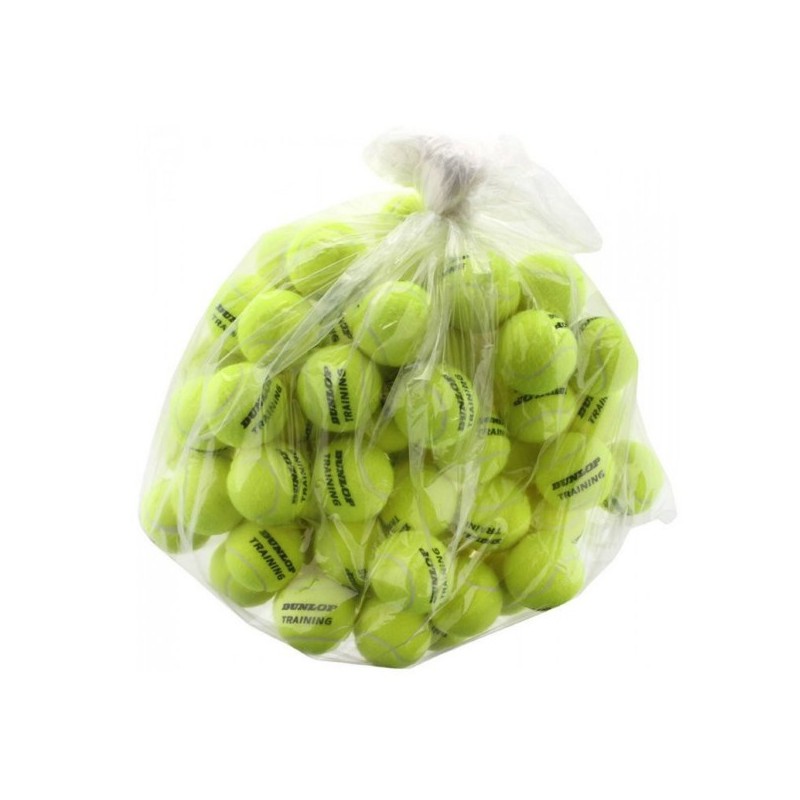 Dunlop Fort TP All Court