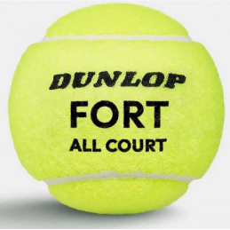 Dunlop Fort TP All Court