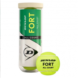 Dunlop Fort TP All Court