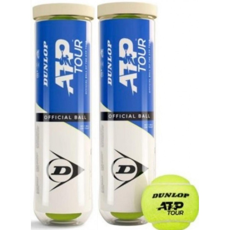 Dunlop Fort TP All Court