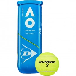 Dunlop Fort TP All Court
