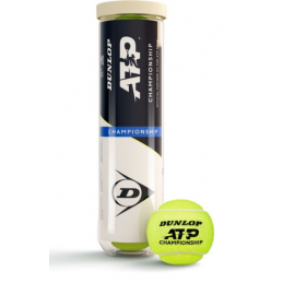 Dunlop Fort TP All Court