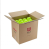 Wilson Pickelball Box 40 stuks OUTDOOR