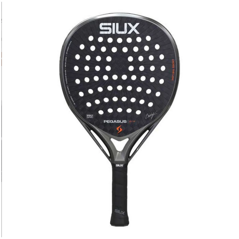 SIUX PEGASUS PRO '26