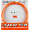 Signum Pro Poly Plasma SET