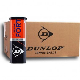 Dunlop Fort TP All Court