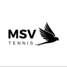 MSV Snaren